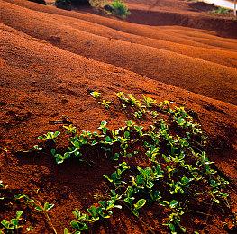 Unity赢得美军合同 帮助设计战争模拟